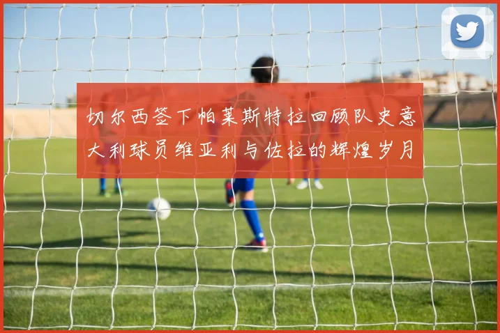 切尔西签下帕莱斯特拉回顾队史意大利球员维亚利与佐拉的辉煌岁月