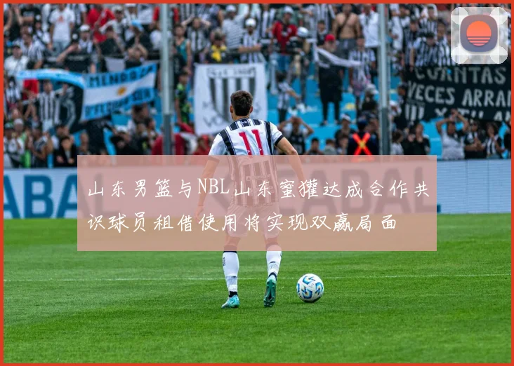 山东男篮与NBL山东蜜獾达成合作共识球员租借使用将实现双赢局面